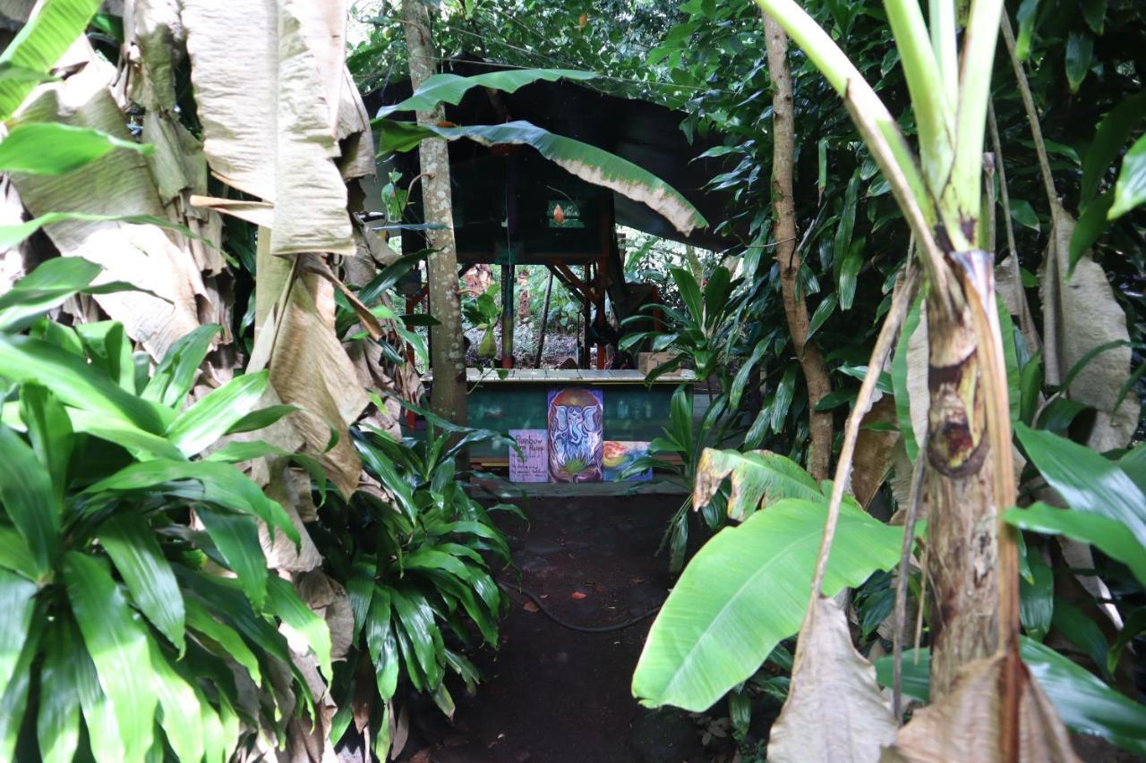 Paradise Eco Village Pahoa ภายนอก รูปภาพ