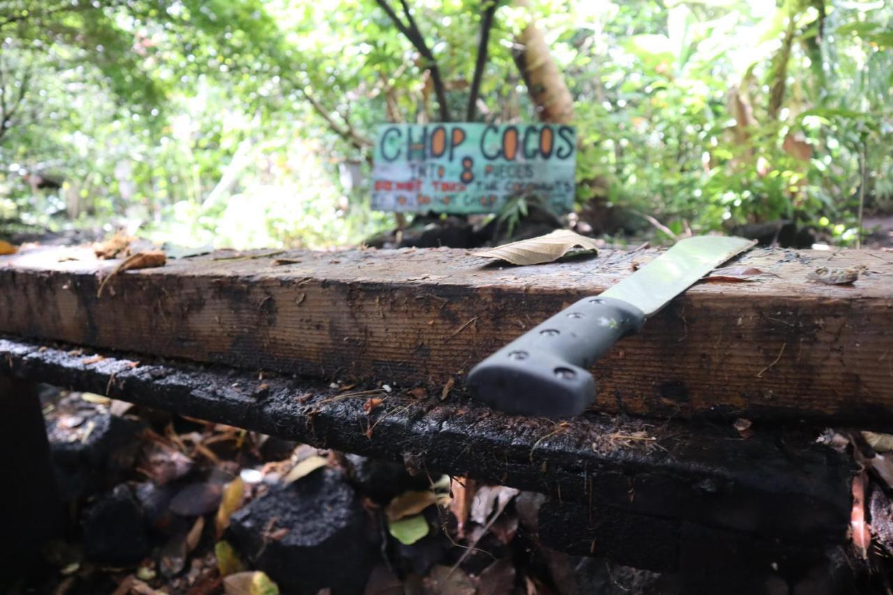 Paradise Eco Village Pahoa ภายนอก รูปภาพ